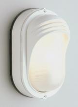 Trans Globe 4124 WH - 1LT OVAL VER BULKHEAD EYE LASH