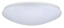 Bowl Flush Mounts