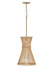 Hinkley 41267BNG - Twyla Medium Pendant